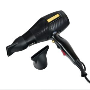 sèche cheveux professionnel ialm